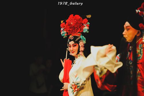 【断桥】【前见姑】 【范进中举】【河塘搬兵】【洞房】【扫松】【产