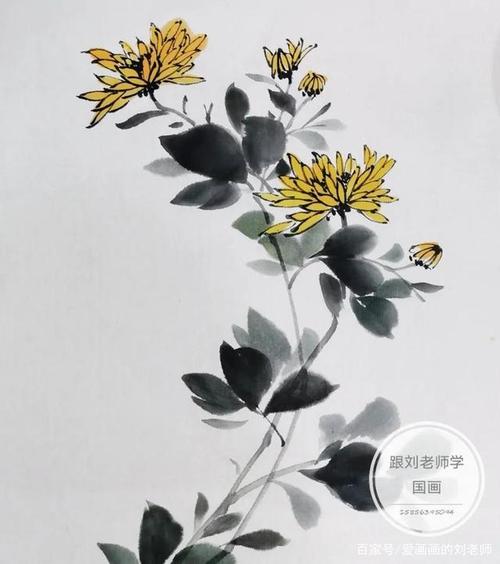 国画教程——写意菊花的画法