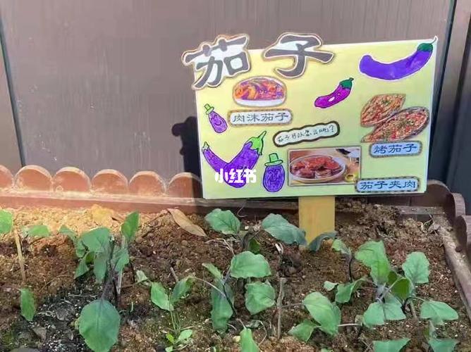 幼儿园食物种植【区域环创牌】_幼儿园_环创_幼儿园种植区_教育_学前