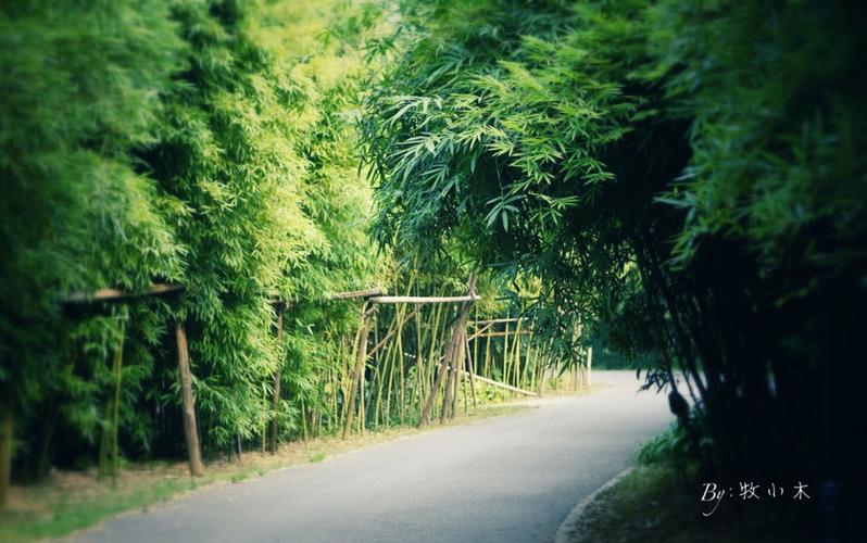 匆匆那年_风景_poco摄影,日系,唯美,小清新
