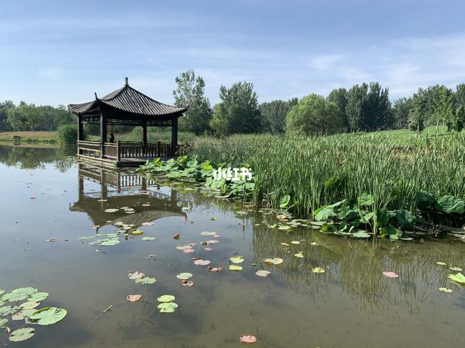 房山新城滨水森林公园东区 家附近的公园_森林_房山区