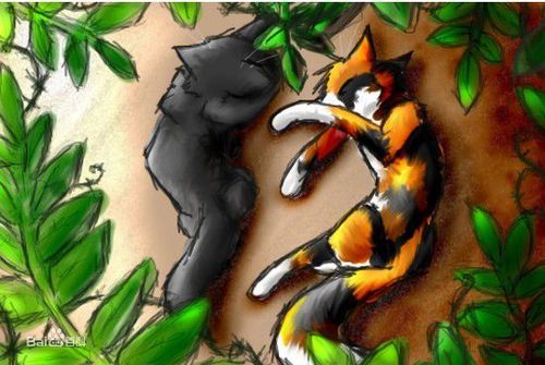 冬青叶(《猫武士》中的人物)