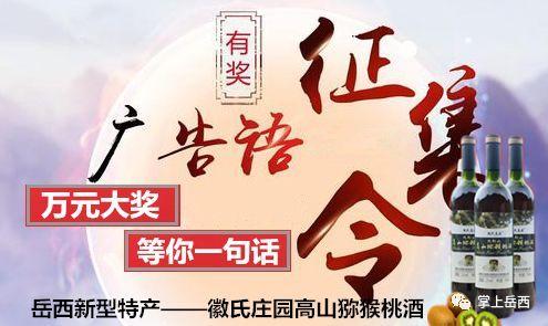 岳西出新特产啦,万元现金征集广告语!——火不火?靠您