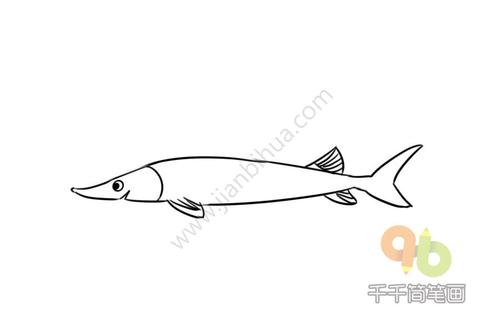 中华鲟简笔画步骤图
