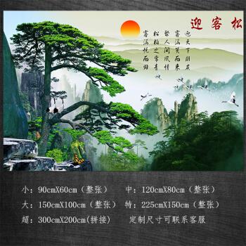 款式22 迎客松 小【图片 价格 品牌 报价】-京东