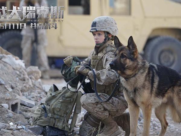 电影《战犬瑞克斯》今日公映
