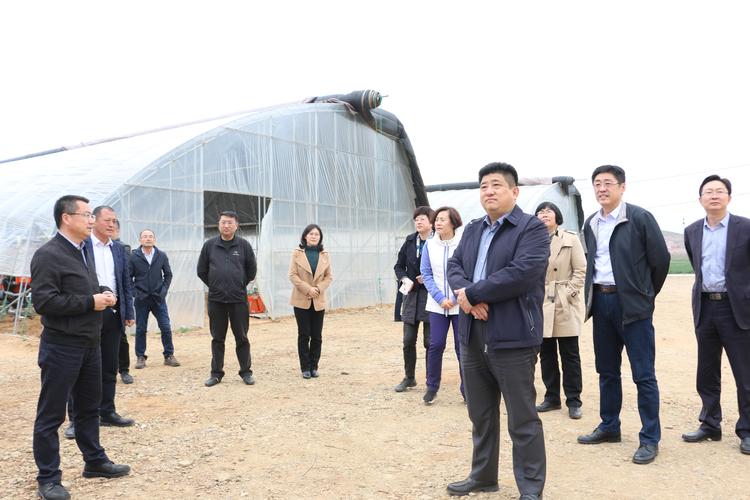 烟台市财政局 财政动态 李建平同志带队赴县市区督导