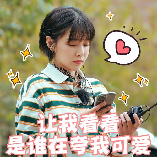 亲爱的客栈 阚清子 表情包