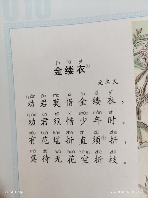 金缕衣