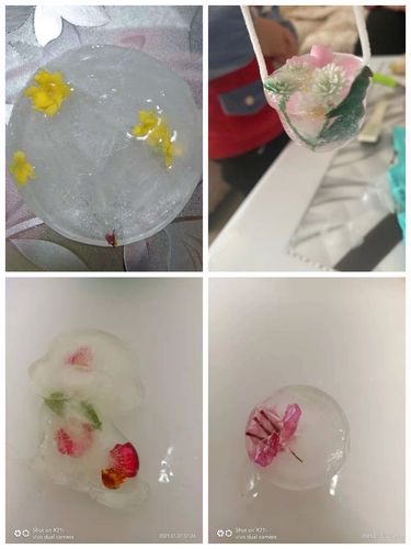 孩子们回家跟家人一起做了冻冰花大家一起来欣赏一下吧.