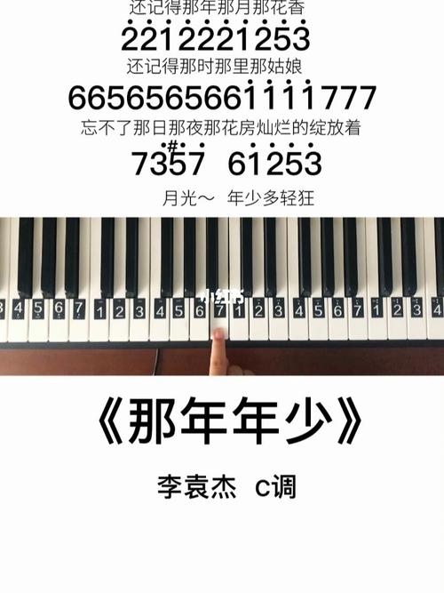 《那年年少》钢琴简谱教程_钢琴_教程_简谱_娱乐_音乐