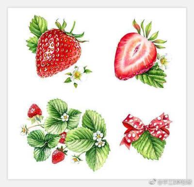 简单的静物临摹