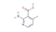 2-氨基-4-甲基吡啶-3-甲酸