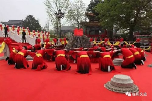 礼敬三牲,恭行奠酒,恭读祭文,乐舞告祭"等十多项礼仪展演,场面将比