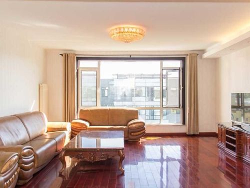 大面宽的客厅(面宽近6米)超大落地窗,坐在沙发上感受到尺度感强 阳光