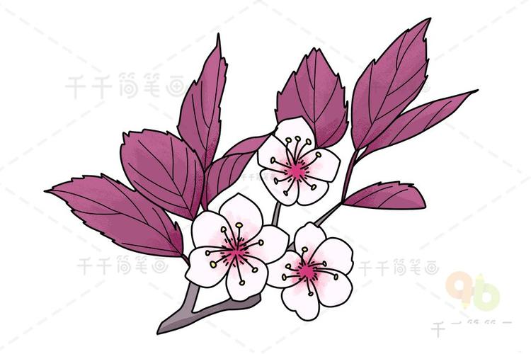 紫叶李花简笔画 简单易画