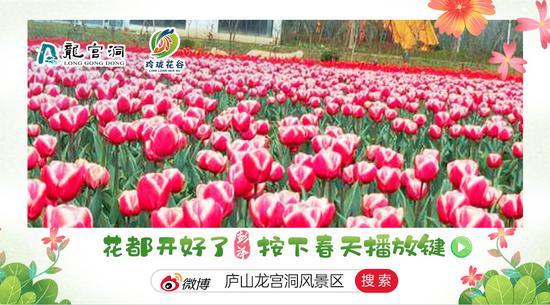 彭泽春暖花开玲珑花谷20万株郁金香等你来赏