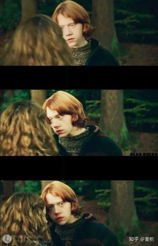 你们谁有罗恩韦斯莱的图片,很好看的那种?