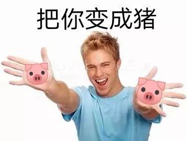 把你变成猪