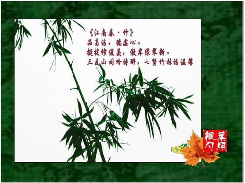 转载 江南春竹与江南春菊 词两首