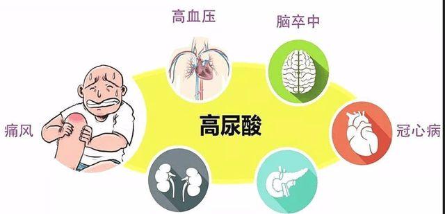 高尿酸的人患高血压,糖尿病肾衰竭的风险明显高于正常人,高尿酸的患发