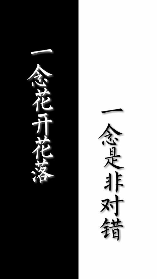 求qq聊天背景黑白隔离区