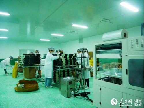 浏阳大瑶盘活闲置花炮工区引进食品加工企业
