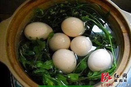 临武县:"三月三"家家户户忙荠菜煮蛋