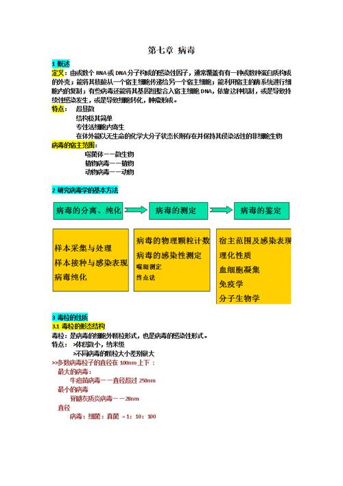 7病毒知识点整理资料.docx 7页