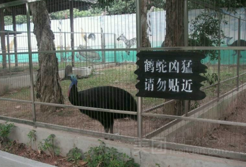 【东方蛇园】常熟连锁大全,点击查看全部1家分店-大众