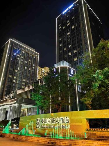 泰山宝盛大酒店-"位置好,酒店服务特别好,有水果,早餐