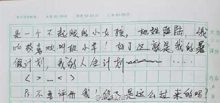 史上最霸气早恋作文六年级男生的暑假计划图