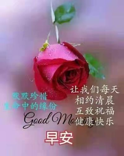 早安问候语经典之十三