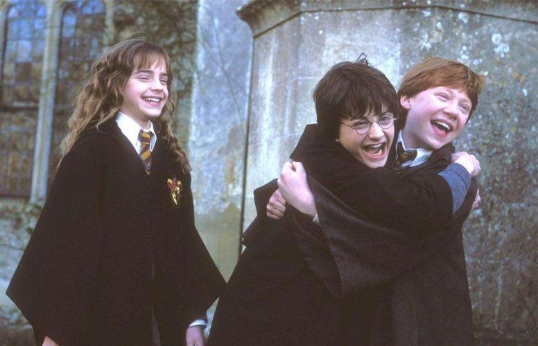 从成年人角度看《哈利波特》隐喻,出生并不能决定一切 (一)