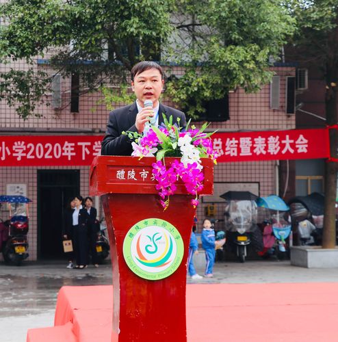 扬风帆再创佳绩,怀梦想砥砺前行——醴陵市实验小学2020年下期中质量