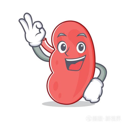 好的肾脏字符卡通风格