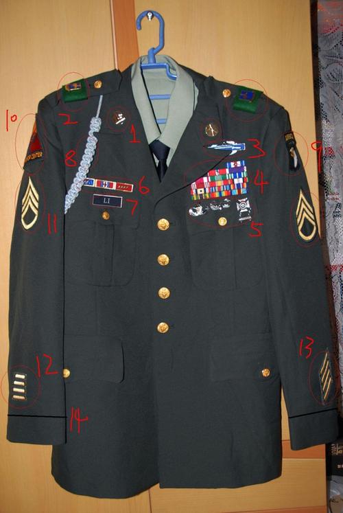 美国陆军常服及配饰相关知识