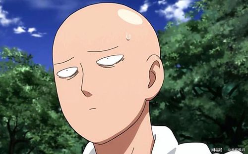 一拳超人原作版新的英雄组织神秘面纱揭开琦玉表示都一样