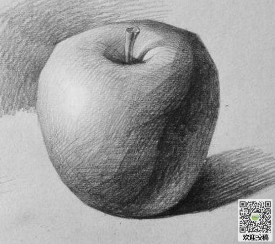 静态水果素描图-美味的苹果