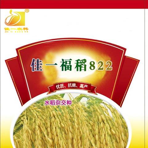 佳一福稻822———佳一农科