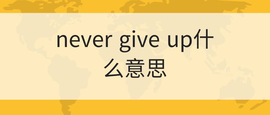 nevergiveup什么意思