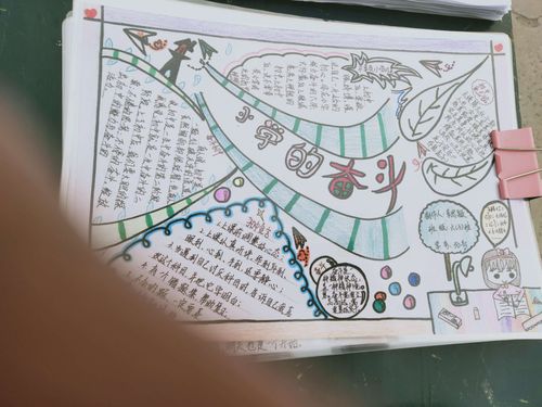 六年级孩子为自己绘制了毕业奋斗蓝图.