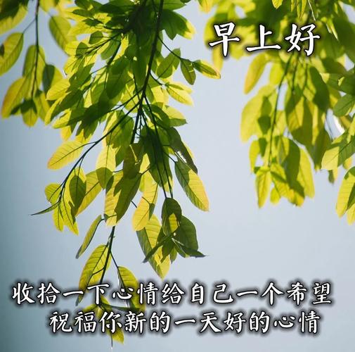 春天很赞的早上好问候图片祝福 清晨问候图片分享