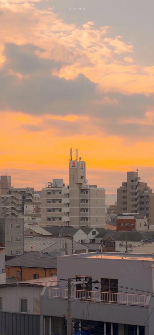 花又开好了 手机壁纸/无水印壁纸/高清壁纸/锁屏壁纸/少女心壁纸/风景