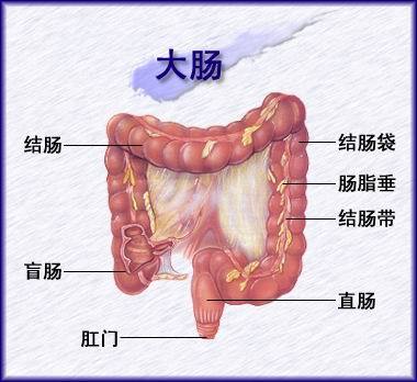 息肉切除后仍有爆发结肠癌的风险