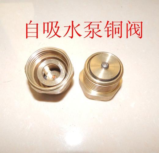 叶子自吸泵管道增压泵 喷射泵铜配件家用水泵阀门止回阀单向