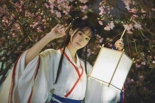 蒋芸