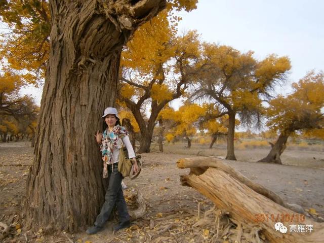 走遍内蒙古|额济纳的美,在内心深处|额济纳旗|居延海