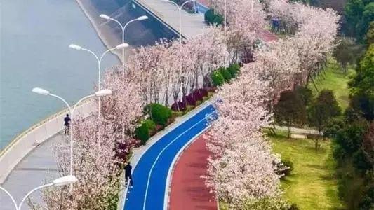杭州"网红"绿道大放异彩!未来三年,再增千里