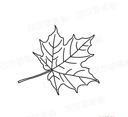 梧桐树的叶子画法